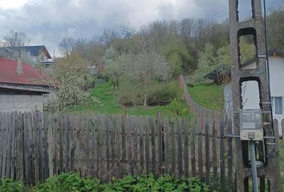 Teren de 2000 mp, în Merișani - 3