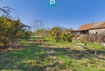 Teren intravilan de 1363 mp în Mândruloc - 6