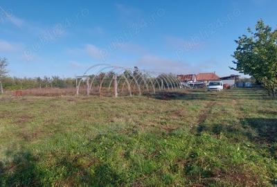 Casă cu 2 camere în Silagiu - 3