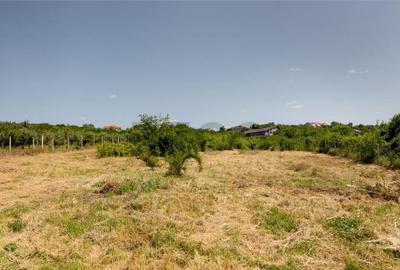 RECO Teren intravilan 1200 mp- front 30ml ,cu utilitati, Pa - 3