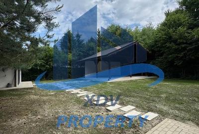 Pensiune/ Vila Valea Avrigului - 25