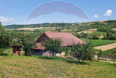 Casa de vanzare in DABACA / teren 2040 mp - 3