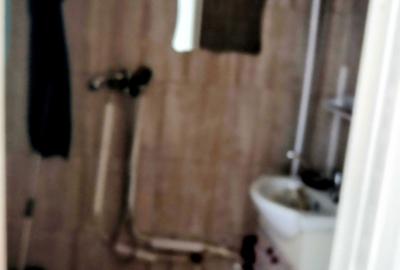 Garsonieră nedecomandată în Exterior Vest - 3