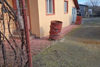 Vanzare casa + terenuri - 5