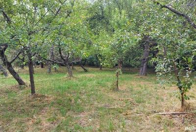 Casă cu 6 camere cu Teren 4500 Mp în Brebu - 1