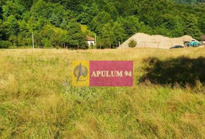 Teren de 744 mp, în Brezoi - 16