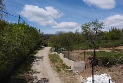Teren de 1664 mp, în Berevoești - 3