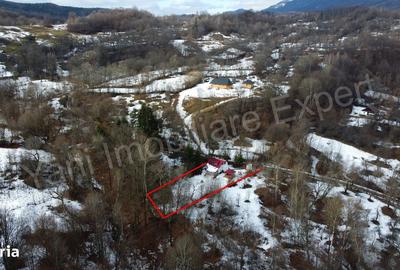 Casă cu 4 camere cu Teren 1435 Mp în Bradu - 4