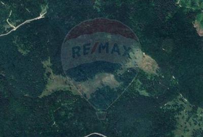 Teren agricol extravilan de 23000 mp, în Glăjărie - 3