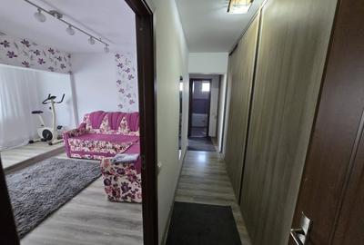 Apartament cu 2 camere semidecomandat, mobilat în Banat - 4