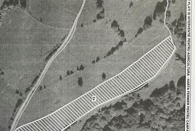 Teren de 20340 mp, în Crizbav - 2