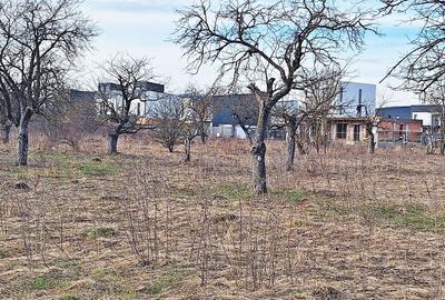 Teren Construcții intravilan de 933 mp, în Ghimbav Livadă - 5