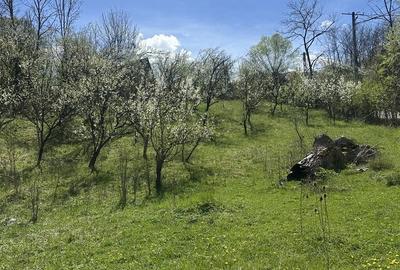 Spațiu comercial, de 2,035 mp, în Provița de Jos - 4