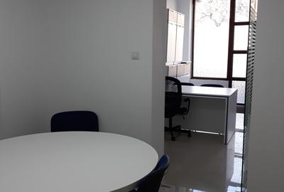 Spatii comerciale in vila Hala Traian - 13