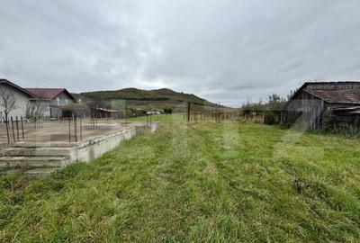 Teren 4000 mp,autorizatie de constructie Lechinta - 9