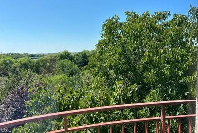 Casă individuală Buftea, 3.162 mp teren, ieșire spre lac Casă individuală Buftea, 3.162 mp teren, ieșire spre lac - 43