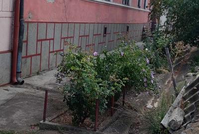 Casa de vanzare in Bozovici - 4