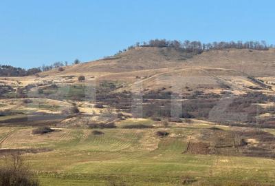5 terenuri extravilane agricole cu suprafata totala de 13.37 - 3