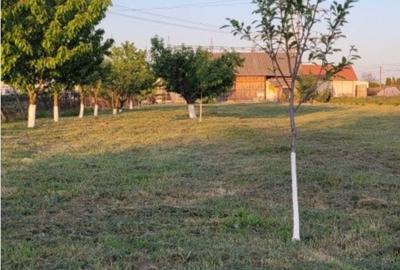 Spațiu comercial, în Cihei - 3