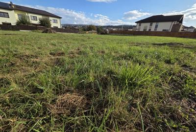 Oportunitate, Teren de vanzare, 2.800 mp, Borhanci, Zona de Case - 2