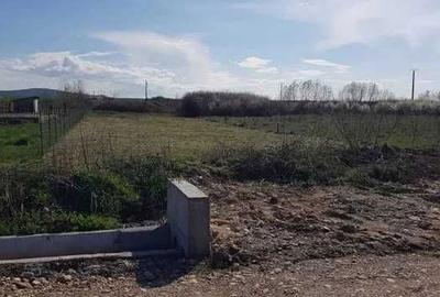 Spațiu comercial, în Alparea - 2