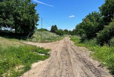 Teren Construcții intravilan de 4615 mp, în Podu Iloaiei - 6