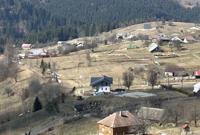 Teren de 2000 mp, în Ivăneasa - 5