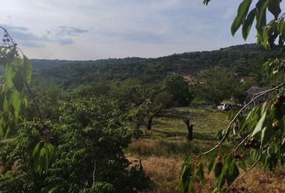 Teren de 3989 mp, în Podgoria - 3