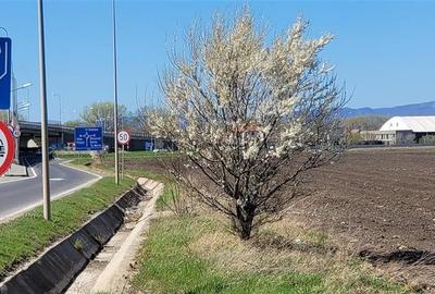 50.000mp teren intravilan, Clasa Master,  in Brasov spre Stupini - 10