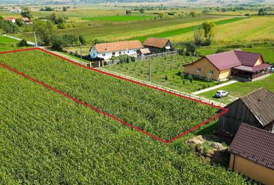 2.000mp intravilan, Bacel, zona linistita, intre Brasov si S - 3