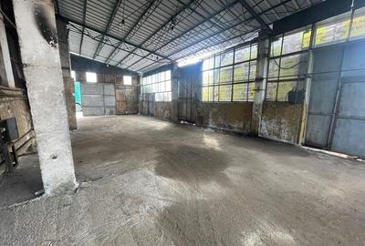 Spatiu industrial I 110-300 mp I Depozitare I Productie - 10