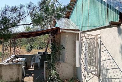 Casă cu Teren 2500 Mp în Șelaru - 2