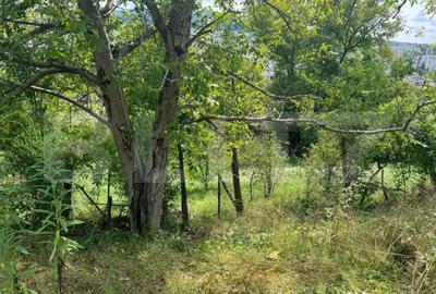 Casă cu 4 camere cu Teren 2249 Mp în Central