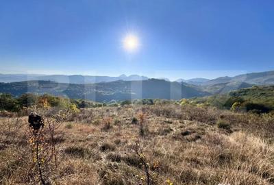 Teren de 4000 mp, în Râmeț - 1