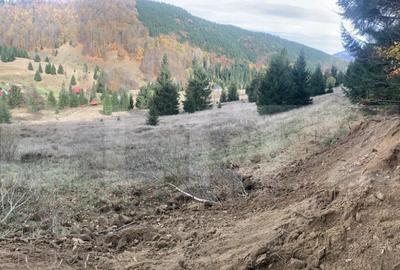 Teren Intravilan 4000 mp, Valea Draganului, - 5