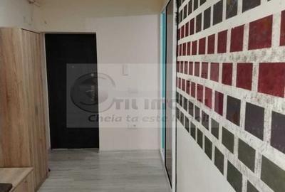 Apartament 2 camere Valea Lupului - 2