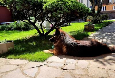 Casă cu 4 camere cu Teren 461 Mp în Central - 7