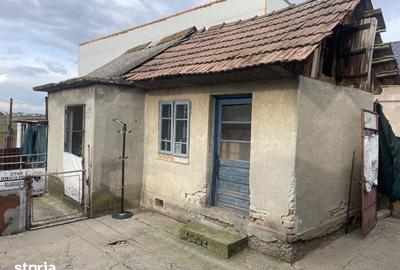 Casă cu 3 camere cu Teren 5239 Mp în Brazi - 8
