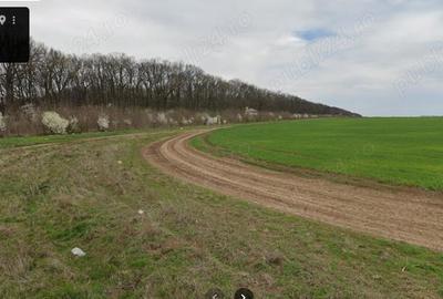 Teren de 8643 mp, în Postăvari - 9