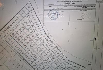 Teren de 400 mp, în Frumușani - 2