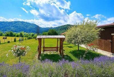Refugiu pretios:  jacuzzi, lemn masiv, 2.000 mp teren,4 dormitoare, cuptor,inves - 3
