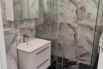 Apartament cu 2 camere decomandat, mobilat în Dristor - 10