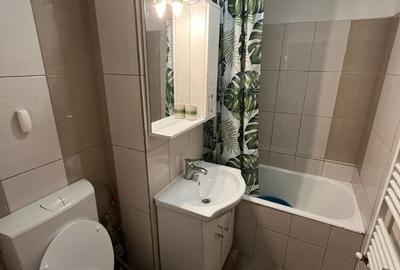 Inchiriere Garsoniera Pacii-Gorjului - 6