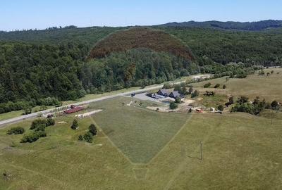 Teren 5,561mp Paltinoasa / Strada principala - 3