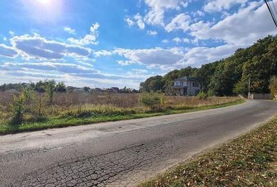 Corbeanca Padure 721 mp - 4