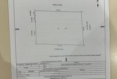 Teren de 6977 mp, în Spineni - 1