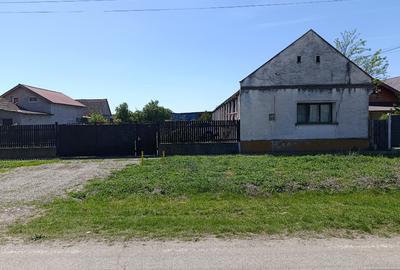 Casă individuală cu 4 camere cu Teren 3527 Mp în Dudeștii Noi - 2