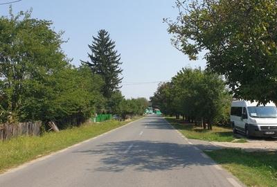 VANZARE TEREN GRUIU LIPIA LA ASFALT - 3