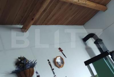 Teren de 1617 mp, în Mintiu Gherlii - 9