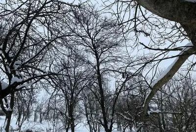 Casă cu 2 camere în Geaca